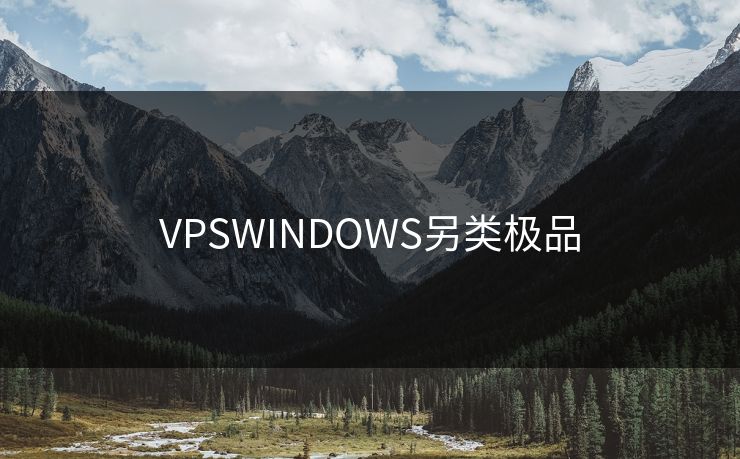 VPSWINDOWS另类极品 VPSWINDOWS另类极品