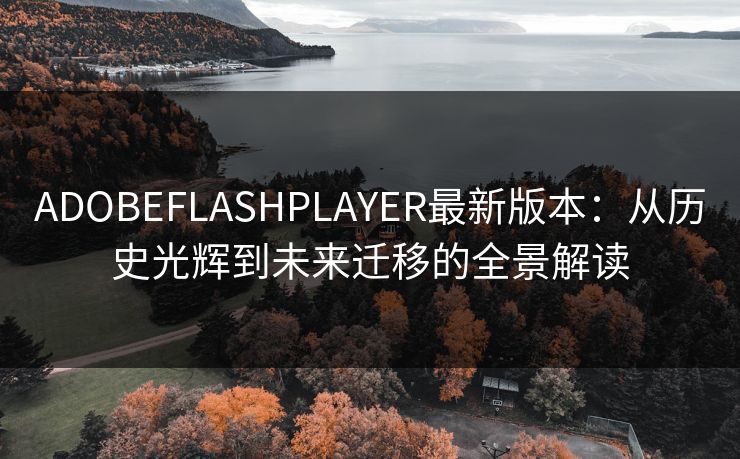 ADOBEFLASHPLAYER最新版本:从历史光辉到未来迁移的全景解读 ADOBEFLASHPLAYER最新版本:从历史光辉到未来迁移的全景解读