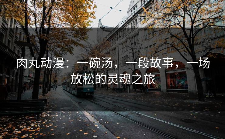 肉丸动漫：一碗汤，一段故事，一场放松的灵魂之旅